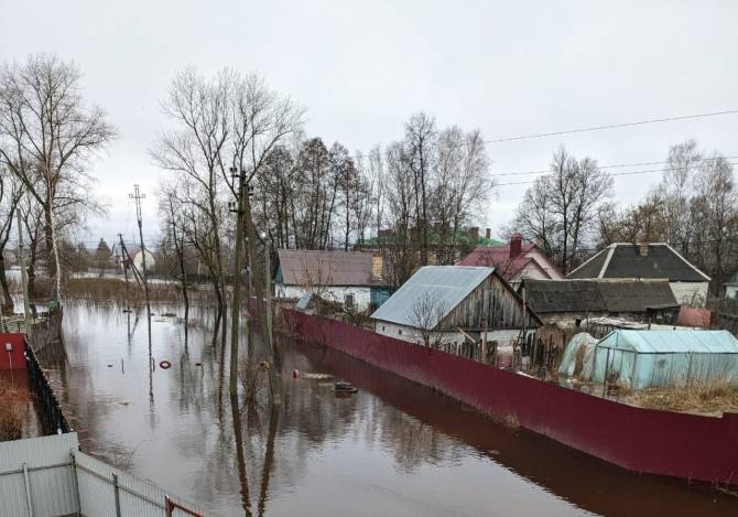 В Брянской области 30 марта в зоне затопления оказался 271 дом