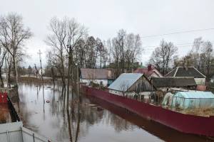 В Брянской области 30 марта в зоне затопления оказался 271 дом