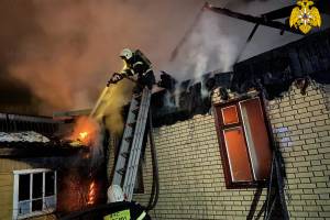 В Сельцо в горящем доме пострадали несколько человек