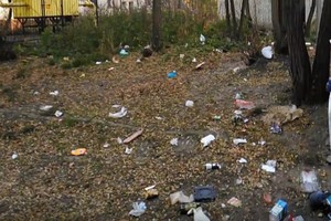 В Брянске блоггер Виткевич снял на видео мусорную красоту возле БГТУ