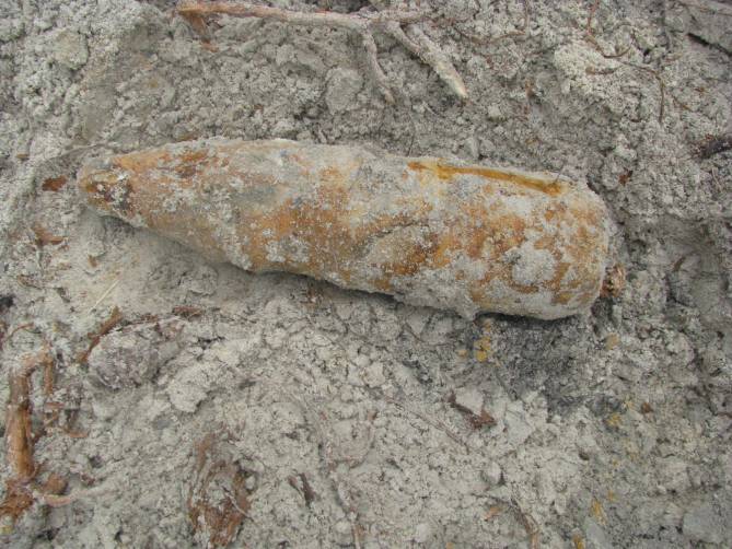 Под Новозыбковом нашли артиллерийский снаряд времён ВОВ
