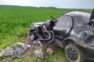 Под Новозыбковом легковушка врезалась в электроопору: погиб 33-летний водитель