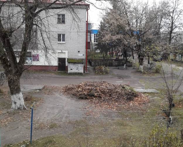 В Брянске загадили двор на проспекте Московском