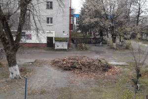 В Брянске загадили двор на проспекте Московском