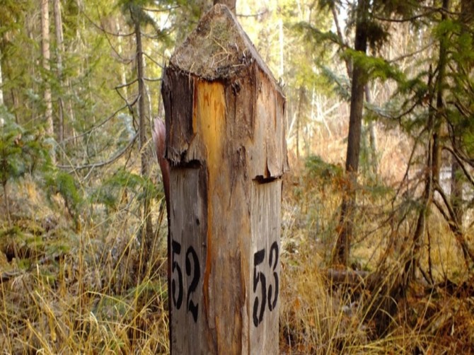 На Брянщине появится первый в стране памятник лесоустроителям
