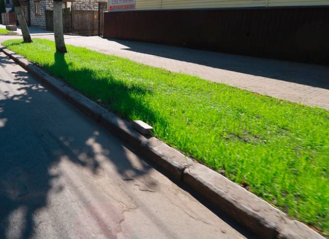 В Брянске на улице Фокина начали высаживать газоны