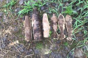 В Навлинском районе нашли 2 артиллерийских снаряда и 4 мины