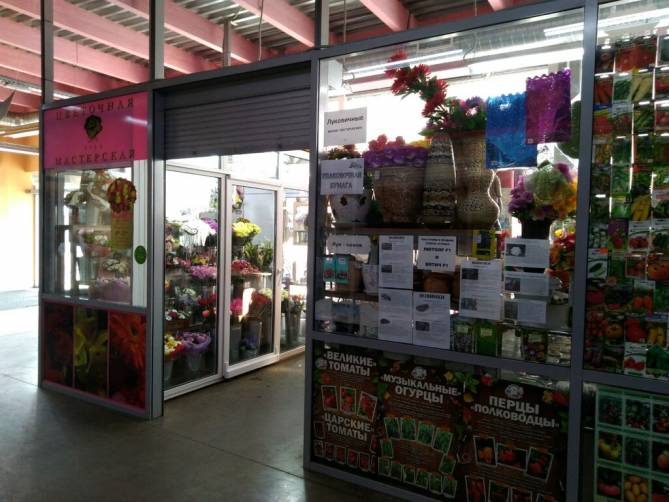 Из-за коронавируса в Брянске страдают дачники и продавцы магазинов семян