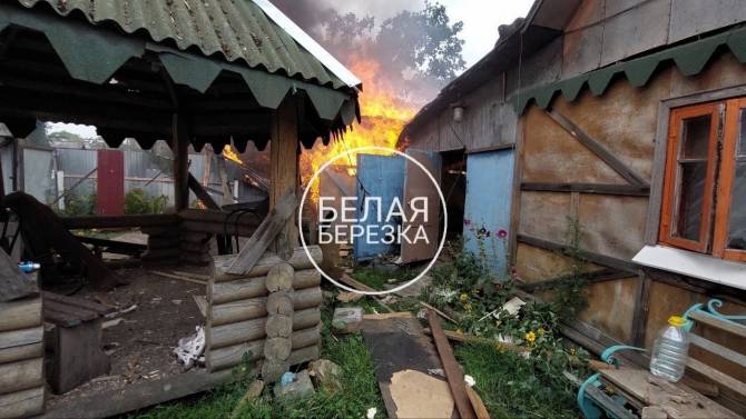 При обстреле ВСУ брянского поселка Белая Березка пострадали мужчина и подросток