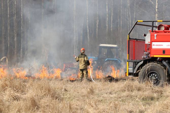 В лесах Брянской области с 7 апреля начнется пожароопасный сезон
