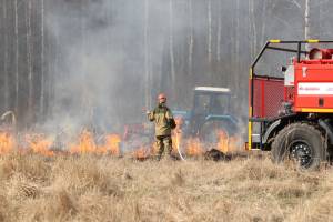 В лесах Брянской области с 7 апреля начнется пожароопасный сезон
