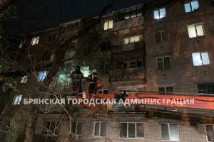 В Брянске на фасад пятиэтажки по улице Советской рухнуло дерево