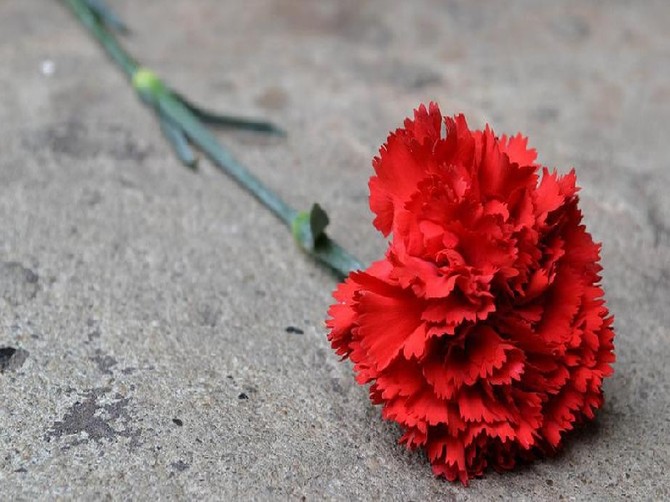 В Брянске захоронят останки красноармейца