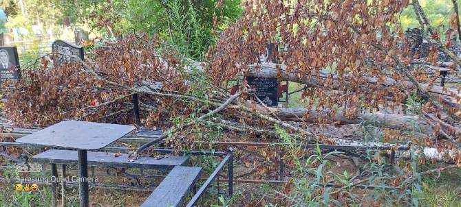 В Брянске на кладбище по Абашева рухнувшее дерево повредило памятники и ограды