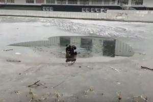 В Подмосковье брянец спас провалившегося под лед школьника