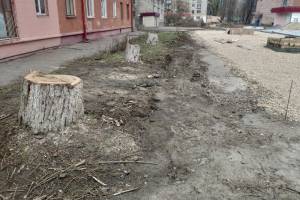 В Брянске у кинотеатра «Салют» спилили огромные деревья