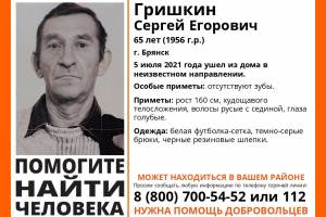 В Брянске без вести пропал 65-летний Сергей Гришкин