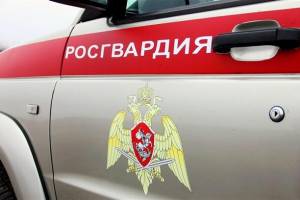 В Брянске уголовник из Беларуси пытался обокрасть магазин в «Аэропарке»