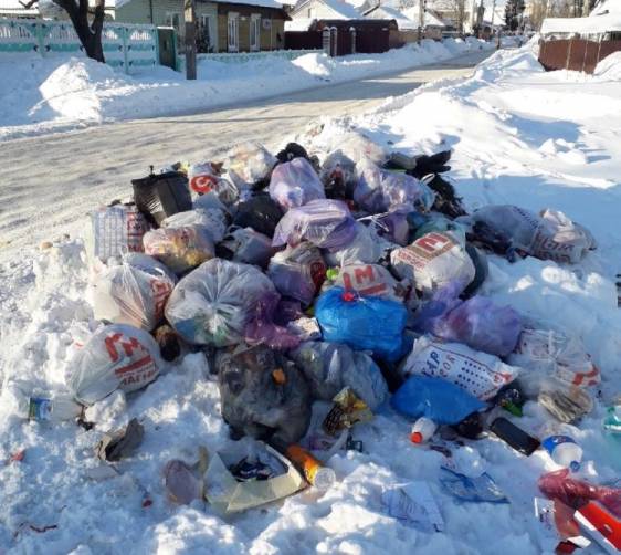 В Брянске редкий вывоз мусора привел к появлению свалки