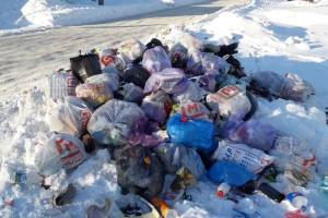 В Брянске редкий вывоз мусора привел к появлению свалки