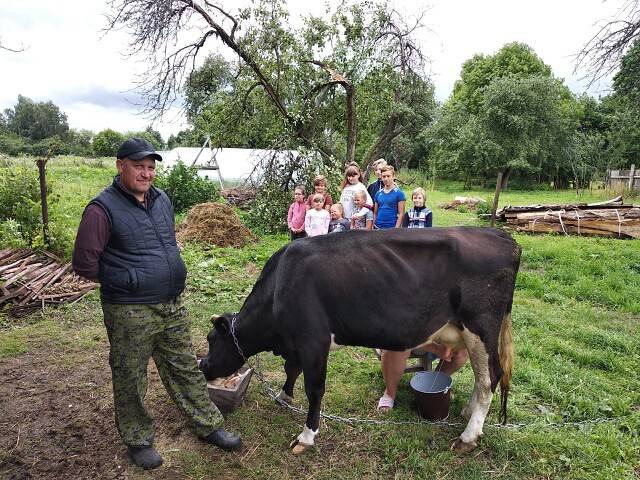 В Новозыбкове семье с 10 детьми подарили корову