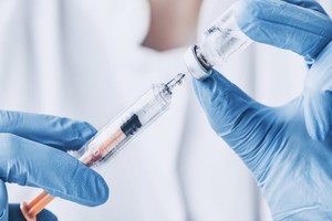 Брянск испытывает дефицит вакцины от бешенства