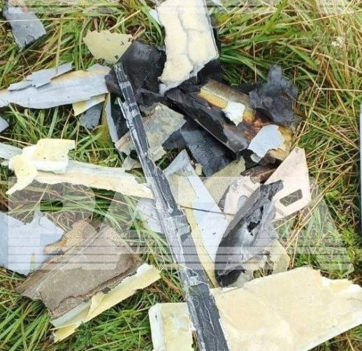 В Брянской области сбили украинский беспилотник типа «крыло»