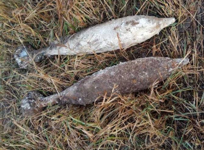 Возле села Пастушье Дятьковского района нашли две минометные мины
