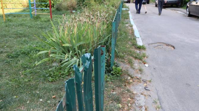 В Брянске активисты ОНФ попросили срочно заменить опасную ограду на детской площадке