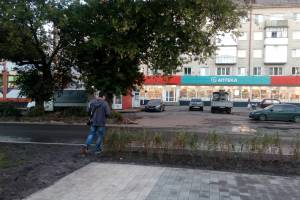 В Брянске заметили недостатки реконструкции сквера у Лития