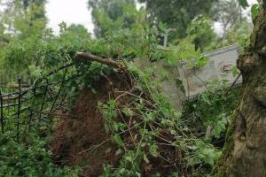 Из-за урагана в Мглине пострадало местное кладбище