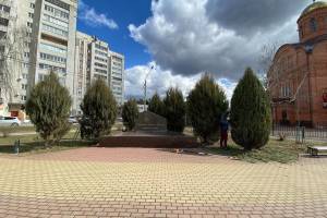 В Брянске постриженный можжевельник украсил памятник погибшим воинам