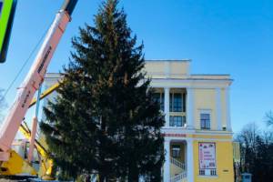 В Брянске у ДК Железнодорожников установили 15-метровую новогоднюю елку