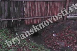 В Новозыбкове вода с целой улицы собирается в одном дворе