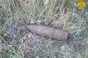 В лесу у Белобережского санатория нашли артиллерийский снаряд