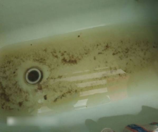 В Новозыбкове квартиру женщины-инвалида затопила канализация