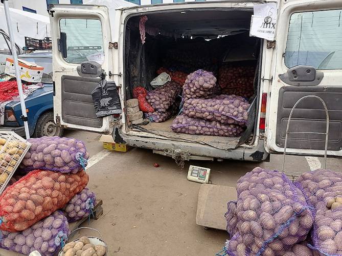 Брянцы на ярмарке выходного дня скупили 28 тонн картофеля