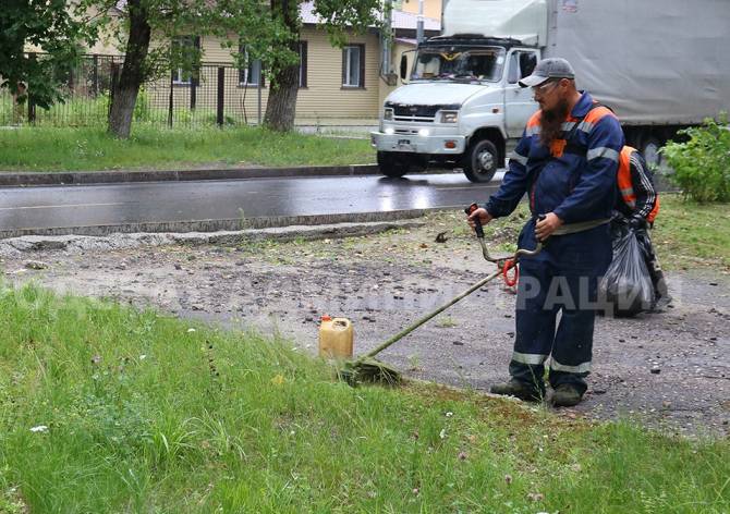 В выходные в Брянске покосили более 182 тысяч квадратных метров газонов