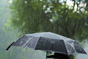 В Брянской области 21 мая ожидается дождь с грозой