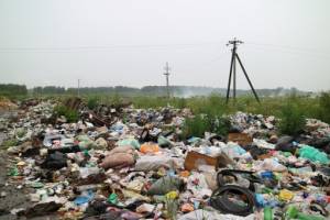 В Севском районе нашли нарушения в сборе и утилизации мусора