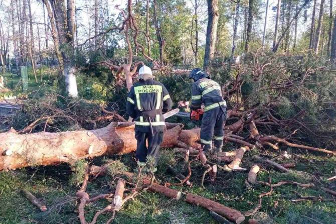 Более тысячи человек ликвидируют последствия урагана в Брянской области