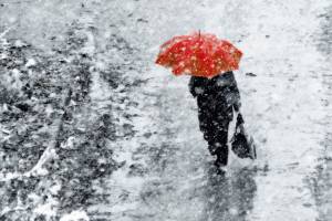 В Брянской области 24 декабря ожидаются дожди с мокрым снегом