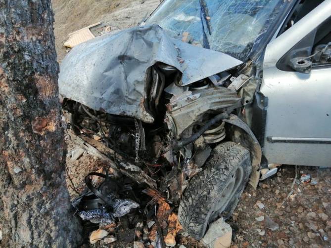 Под Выгоничами водитель «ВАЗ» протаранил дерево с легковушкой и сломал рёбра