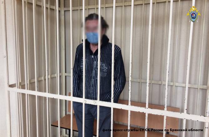 В Брянске осудят убившего свою соседку уроженца Калужской области