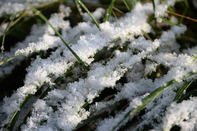 Утром в Брянске выпал первый снег