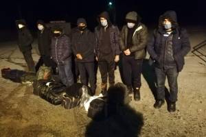 Брянские пограничники за сутки задержали более 70 нарушителей 