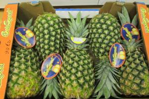 На Брянщину запретили ввоз 20 тонн ананасов