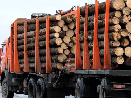С начала гола на Брянщине выявили 23 случая незаконной перевозки древесины