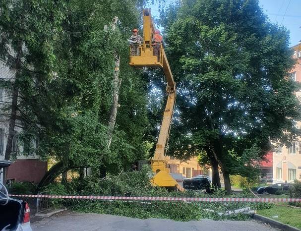 В Брянске из-за уборки аварийного дерева перекрыли дорогу
