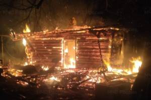 В Дятьковском районе сгорел жилой дом